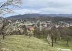 ???? Oportunitate investiție în Corbi, Argeș | 22.000 mp