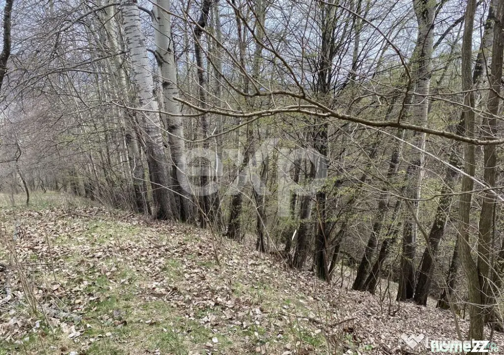 ???? Oportunitate investiție în Corbi, Argeș | 22.000 mp