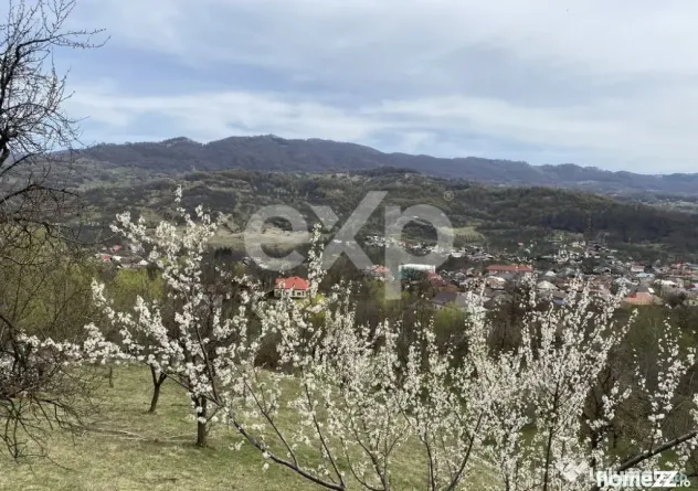 ???? Oportunitate investiție în Corbi, Argeș | 22.000 mp
