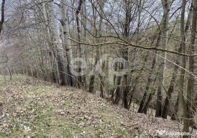 ???? Oportunitate investiție în Corbi, Argeș | 22.000 mp