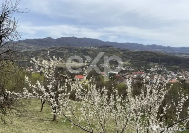 ???? Oportunitate investiție în Corbi, Argeș | 22.000 mp