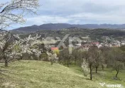 ???? Oportunitate investiție în Corbi, Argeș | 22.000 mp 