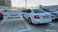 Alida Octavia 