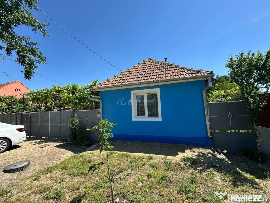Casa Cocheta, Locuibila imediat, cu Gradina si Curte,1500mp