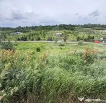 Teren intravilan, 1250 mp, zona Lebăda- Botoșani