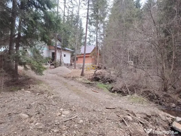 Casa de vacanta nefinalizata (Borzont)