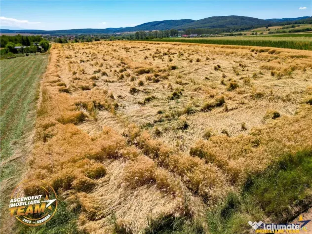 FILM! Teren extravilan, Valea Crisului, Covasna