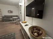 Nerva traian etaj 8 anastasie panu 
