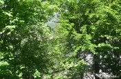 Apartament cu doua camere -Busteni,central 