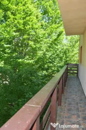 Apartament cu doua camere -Busteni,central 