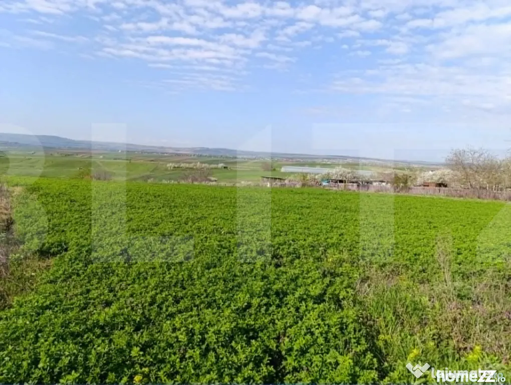 Teren extravilan cu 50ml front stradal la DN, 10.189 mp, Cri - Cristesti (Botosani)