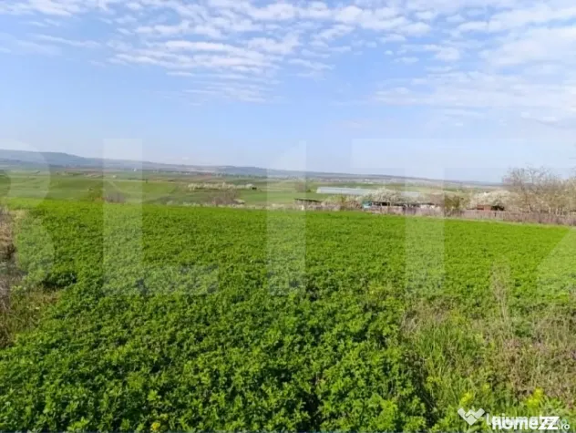 Teren extravilan cu 50ml front stradal la DN, 10.189 mp, Cri - Cristesti (Botosani)