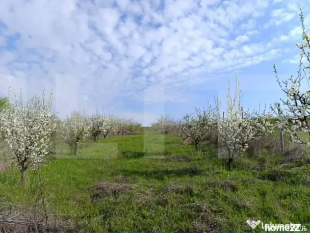 Teren extravilan cu 50ml front stradal la DN, 10.189 mp, Cri - Cristesti (Botosani)