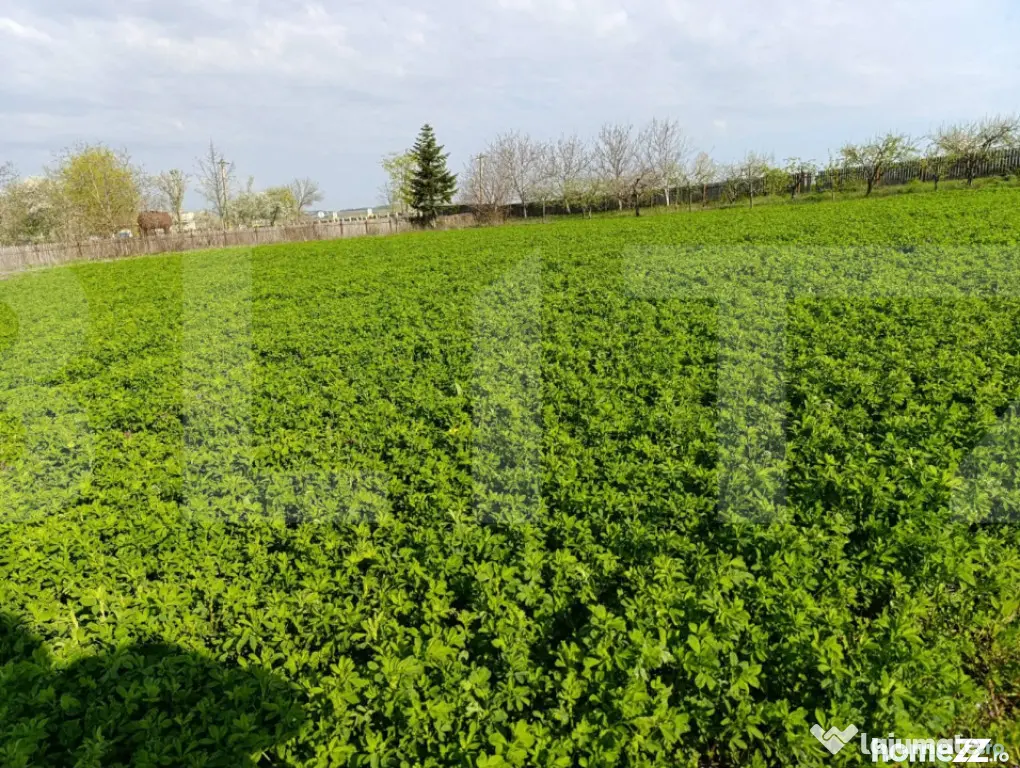 Teren extravilan cu 50ml front stradal la DN, 10.189 mp, Cri - Cristesti (Botosani)