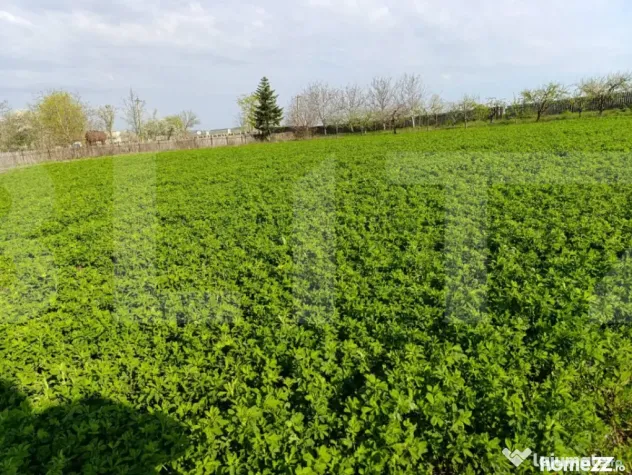 Teren extravilan cu 50ml front stradal la DN, 10.189 mp, Cri - Cristesti (Botosani)