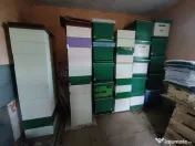 Lazi albine, stupi, rame stupi, ceară 