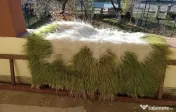 Plocad din lana naturala 