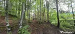 Teren intravilan 720 mp Sinaia