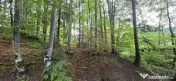Teren intravilan 720 mp Sinaia 