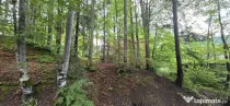 Teren intravilan 720 mp Sinaia