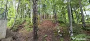 Teren intravilan 720 mp Sinaia 