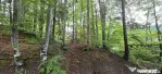 Teren intravilan 720 mp Sinaia