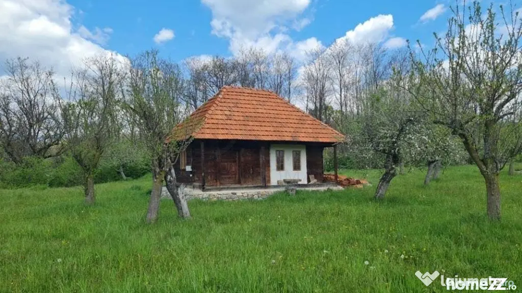 Domeniu Pensiune Transfagarasan 20855 - Curtea De Arges (Arges)