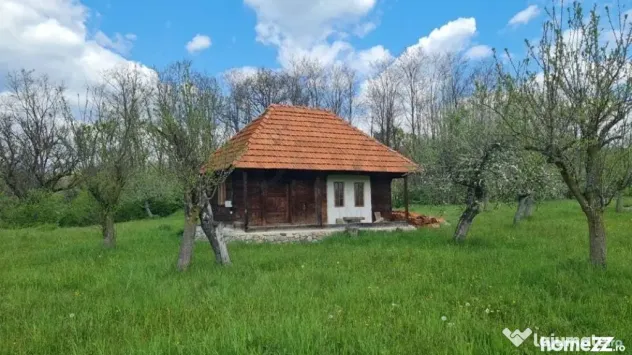 Domeniu Pensiune Transfagarasan 20855 - Curtea De Arges (Arges)