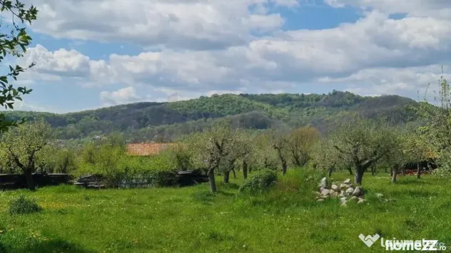 Domeniu Pensiune Transfagarasan 20855 - Curtea De Arges (Arges)
