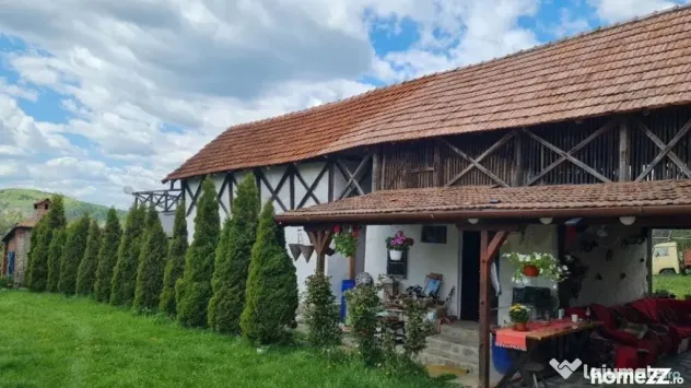 Domeniu Pensiune Transfagarasan 20855 - Curtea De Arges (Arges)