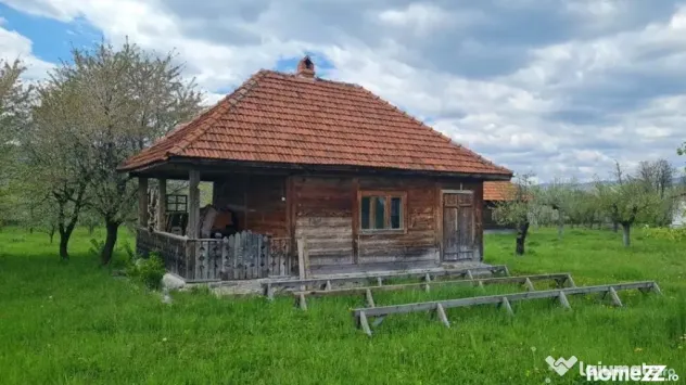 Domeniu Pensiune Transfagarasan 20855 - Curtea De Arges (Arges)