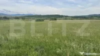 5500 mp de teren extravilan, direct la drumul national 