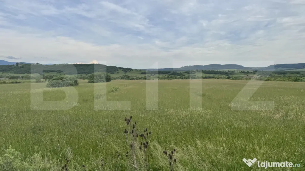 5500 mp de teren extravilan, direct la drumul national