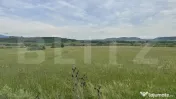 5500 mp de teren extravilan, direct la drumul national 