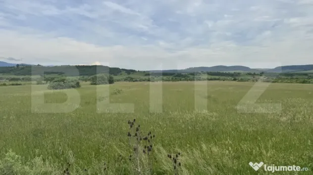 5500 mp de teren extravilan, direct la drumul national