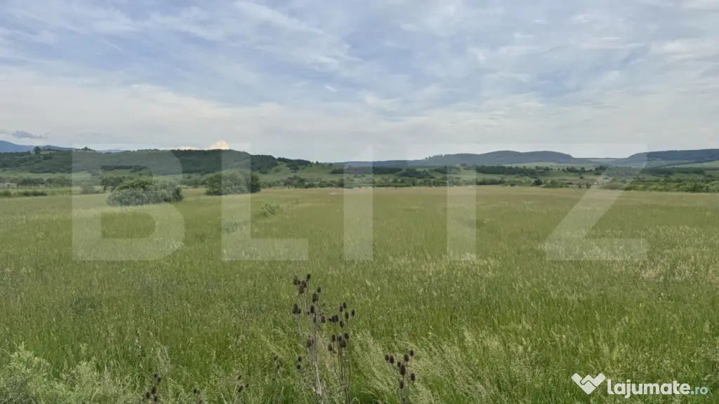 5500 mp de teren extravilan, direct la drumul national