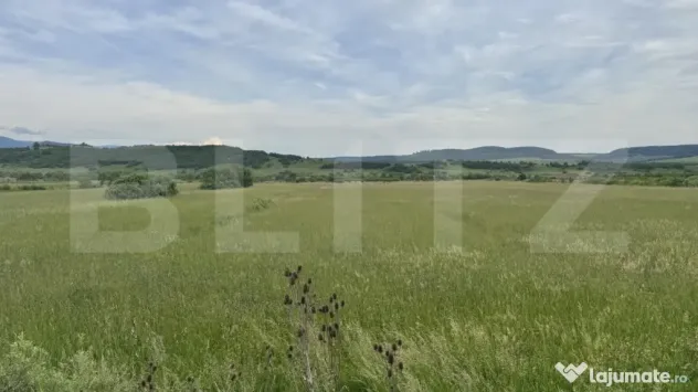 5500 mp de teren extravilan, direct la drumul national