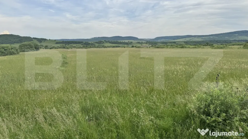 5500 mp de teren extravilan, direct la drumul national