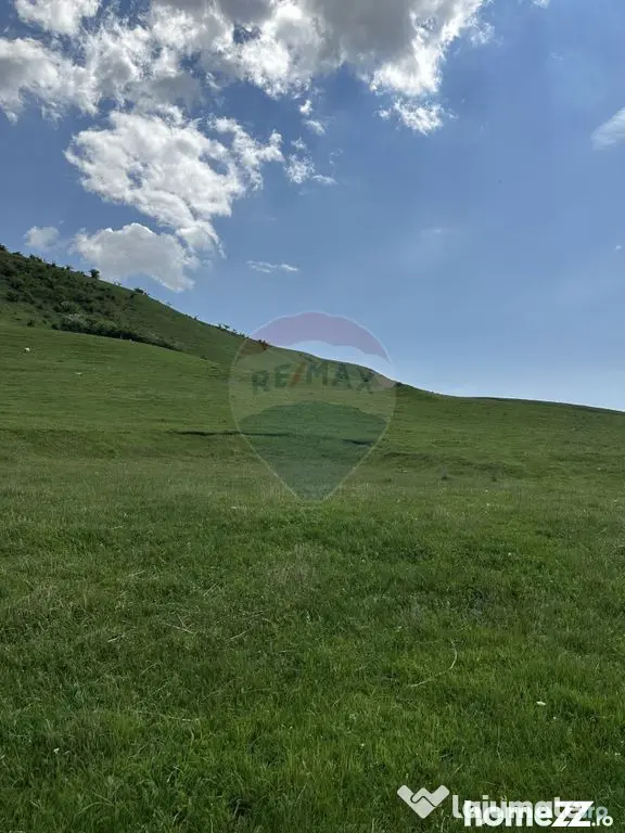 Teren 1,000mp Garcina / Strada Punct Marian