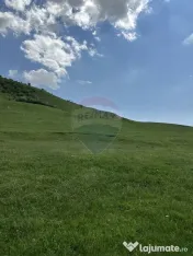 Teren 1,000mp Garcina / Strada Punct Marian 