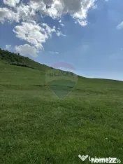 Teren 1,000mp Garcina / Strada Punct Marian