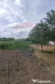 Casă cu 2 dormitoare si anexe gospodaresti de vanzare Ce...