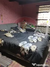 Casă cu 2 dormitoare si anexe gospodaresti de vanzare Ce...