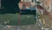 Raritate absolută: Teren 20.000 mp în inima Padurii Bă... 
