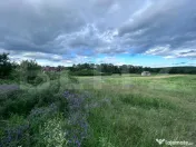 Teren intravilan-Barsesti, 5000 Mp