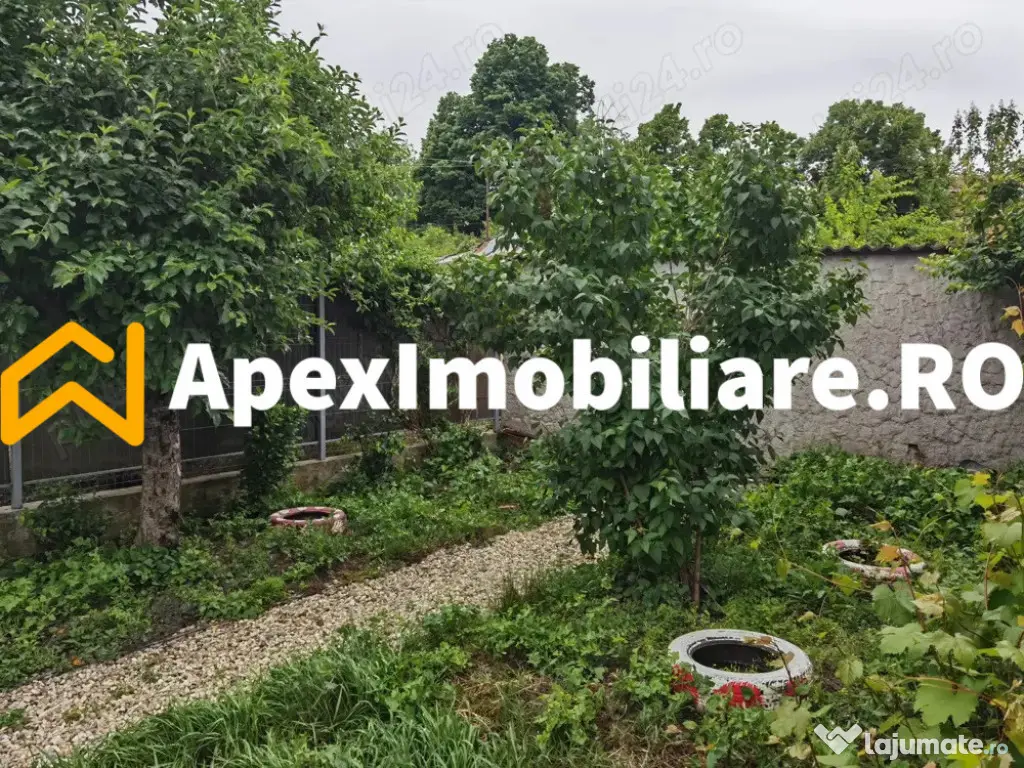 Casa 3 camere de inchiriat Baneasa București | ApexImobilia