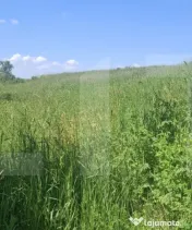 Teren extravilan 4.500 mp în Tudora 