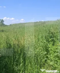 Teren extravilan 4.500 mp în Tudora