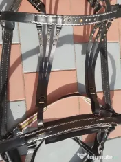 Hamuri Piele Pentru Cai