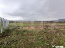 Teren intravilan, zona Aerodrom